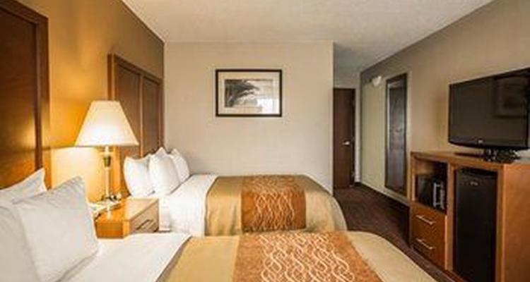 Comfort Inn Asheville Airport Pet Policy