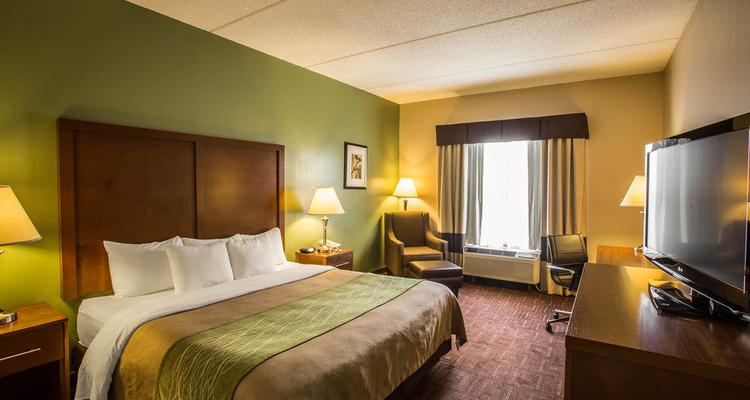 Comfort Inn Asheville Airport Pet Policy