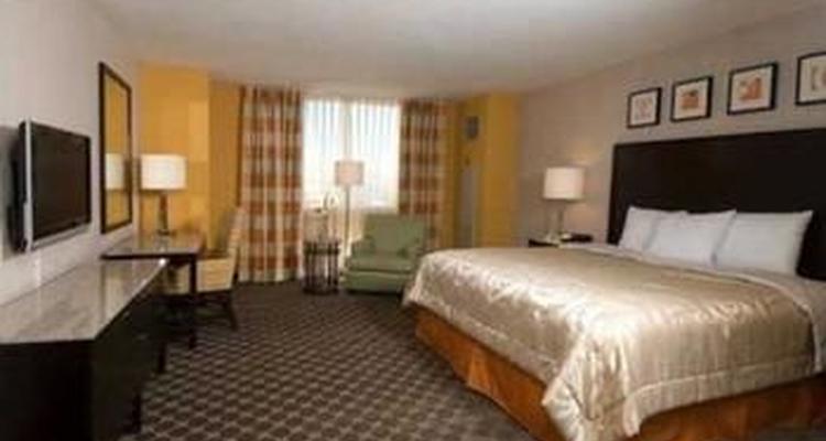 Circus Circus Hotel And Casino Pet Policy