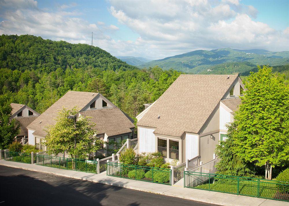 Mountain Loft Pet Policy