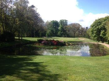 Suite 1 King Bed With Sofa Bed Non Smoking With Sofabed -