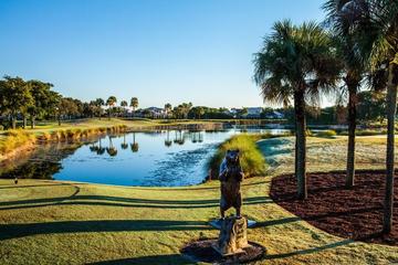 Pga National Resort Spa Pet Policy