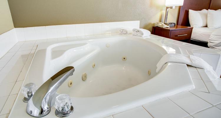 Comfort Inn Blythewood Pet Policy