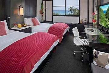 Pet Friendly Hotels In Honolulu Hi Bringfido