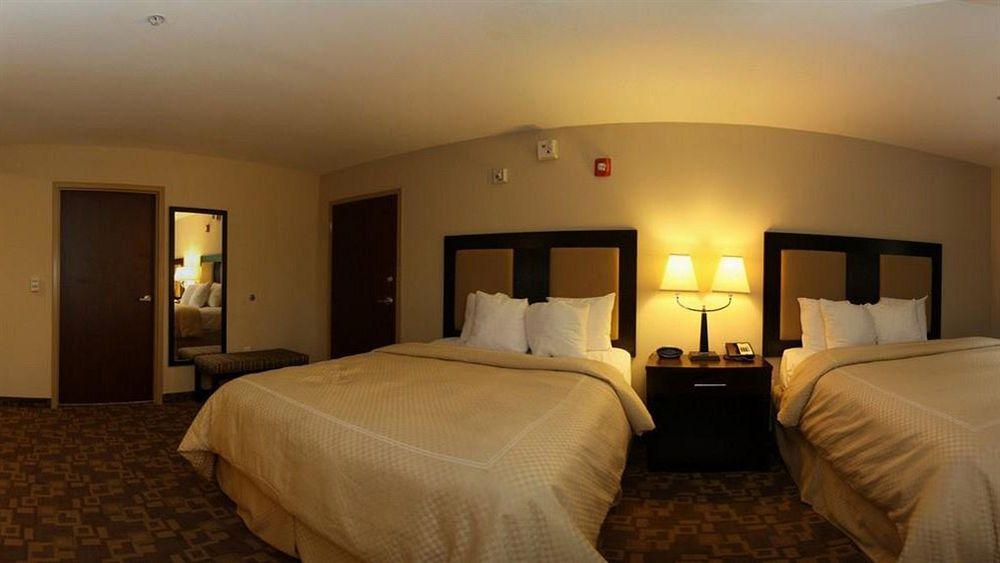 Comfort Suites Kennesaw State University Pet Policy