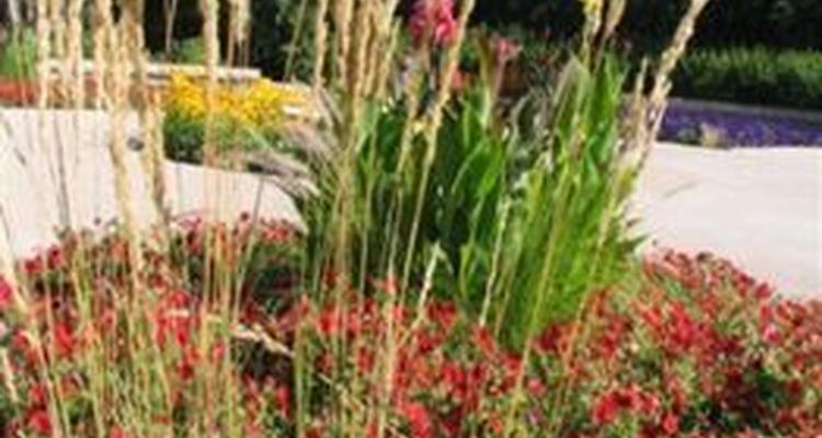 Comfort Inn Brandon Pet Policy