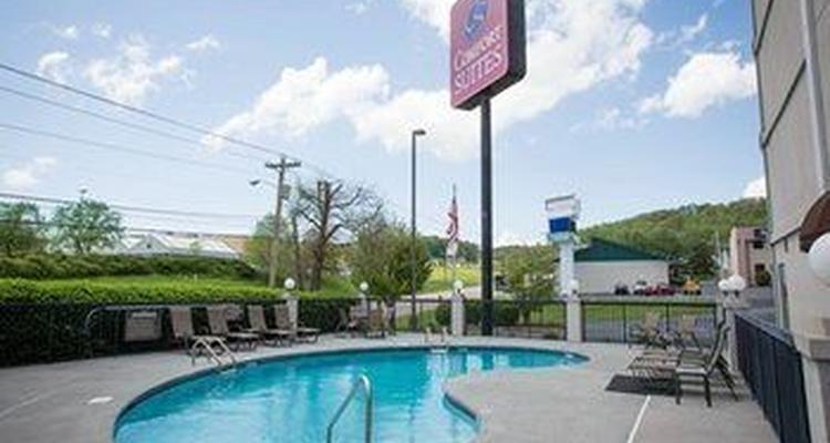 Comfort Suites Johnson City Pet Policy