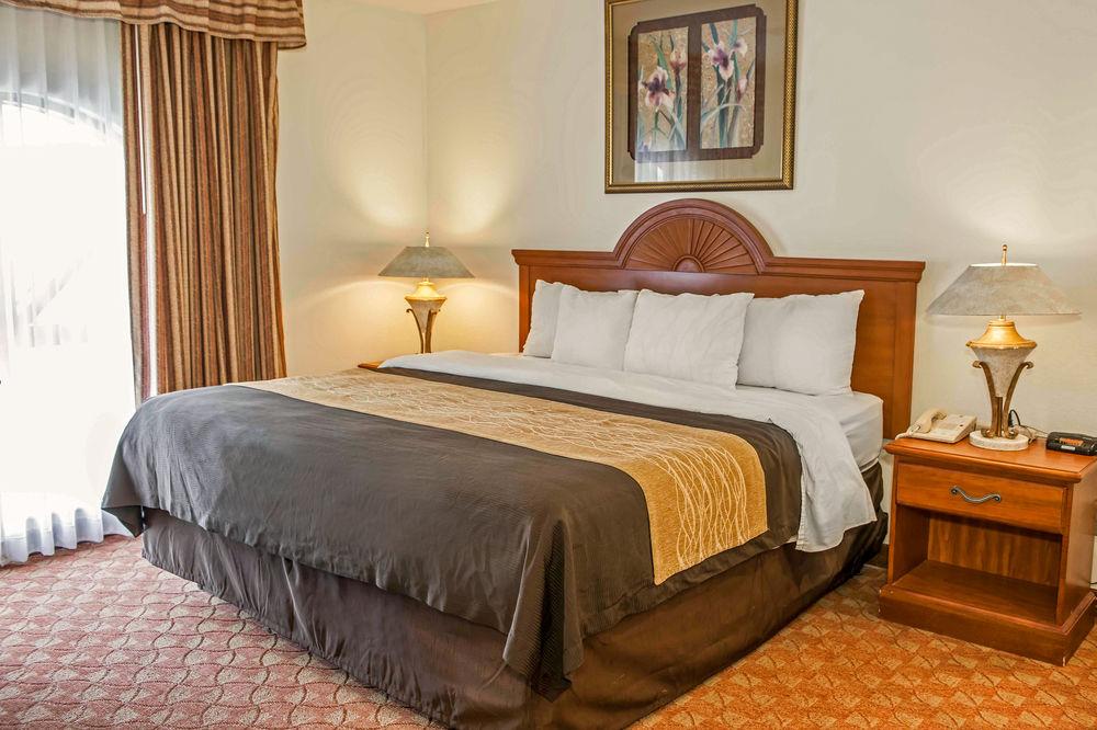 Comfort Inn Lafayette Pet Policy