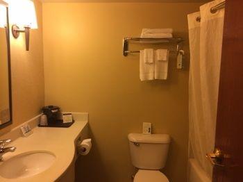 Pet Friendly Hotels In Dublin Va Bringfido