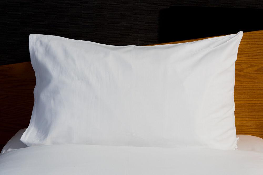 Holiday Inn Express Glasgow Airport Pet Policy