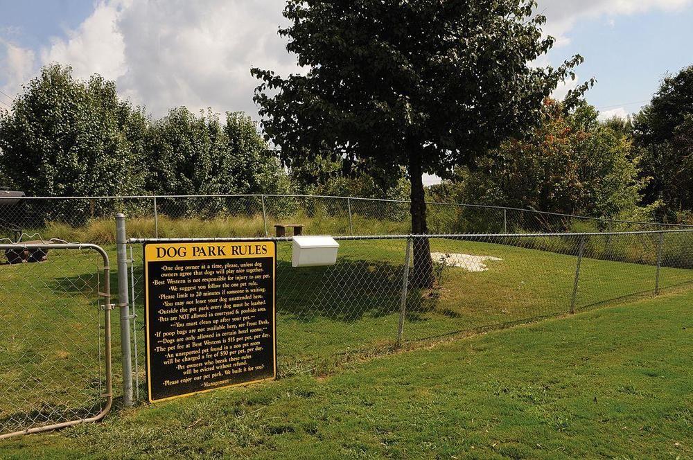 Pet Friendly Hotels in Greenville, SC BringFido