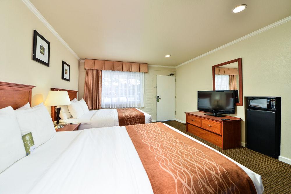 Comfort Inn Monterey By The Sea Pet Policy