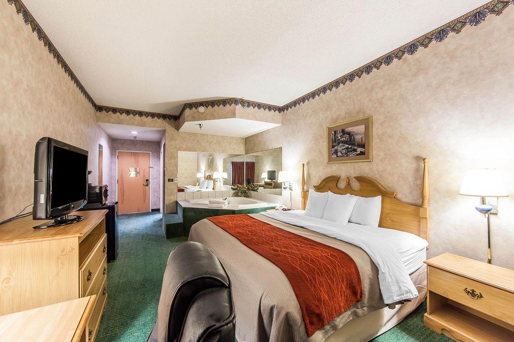 Comfort Inn Newport Pet Policy