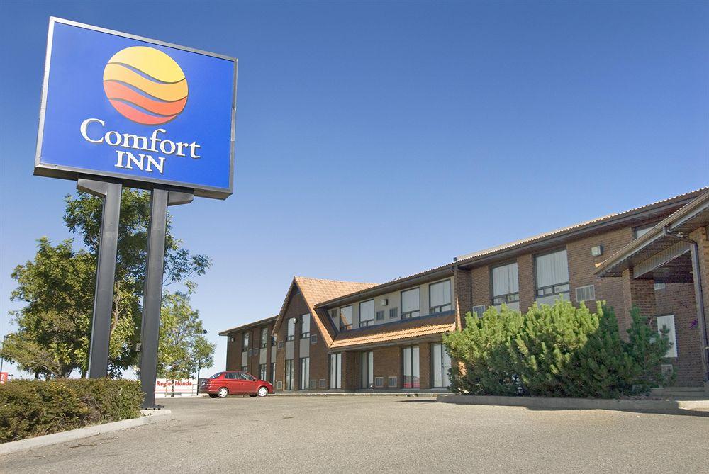 Comfort Inn Swift Current Pet Policy