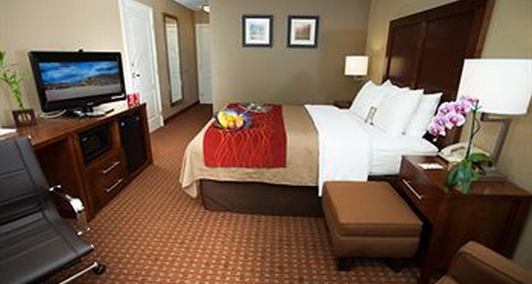 Comfort Inn Suites Carbondale Pet Policy