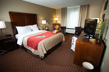 Comfort Inn Suites Carbondale Pet Policy