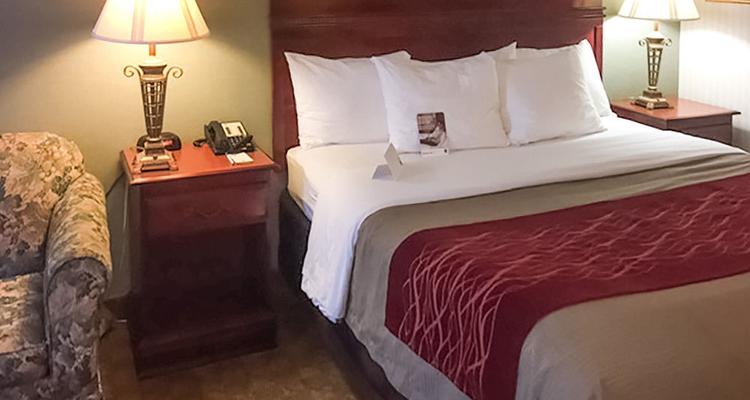 Comfort Inn Springfield Pet Policy