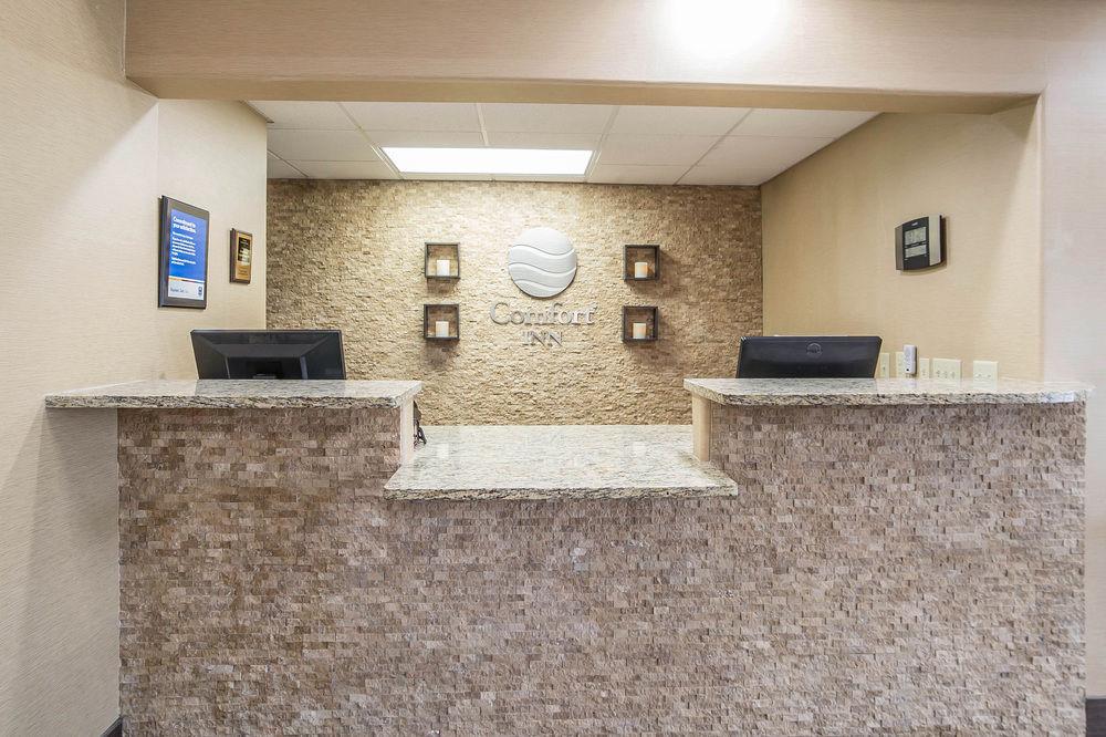 Comfort Inn Grand Junction Pet Policy