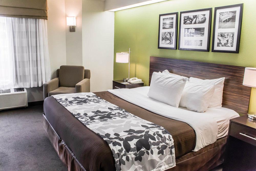 Pet Friendly Hotels In Charleston Sc Bringfido