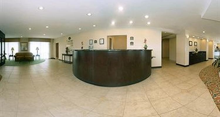 Comfort Suites Oceanview Amelia Island Pet Policy