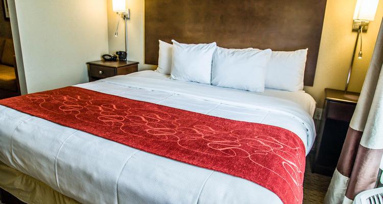 Comfort Suites Sarasota Pet Policy