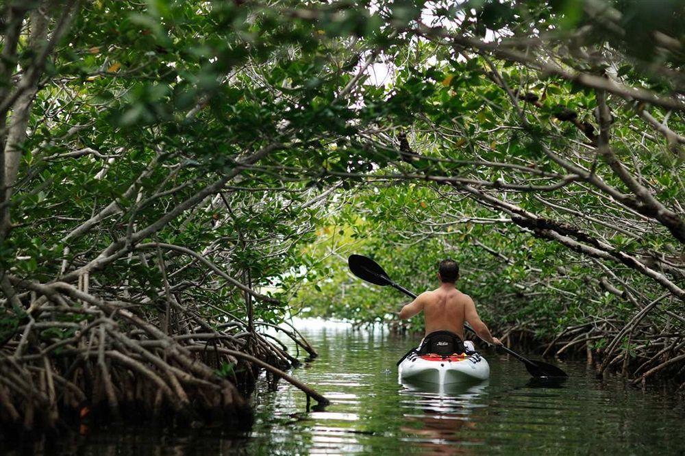 Baker's Cay Resort Key Largo, Curio Collection By Hilton Pet Policy