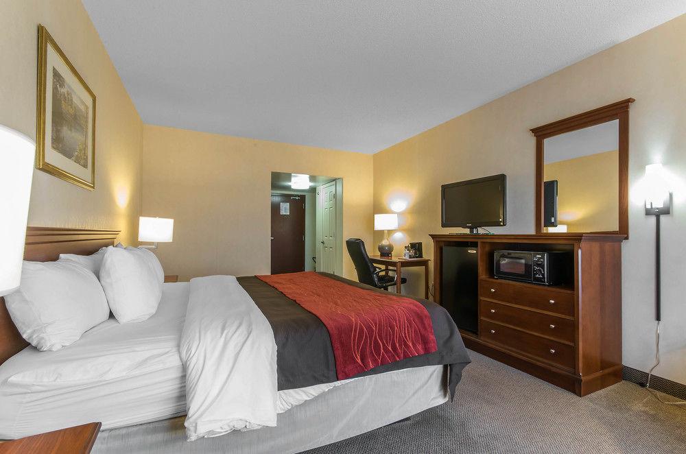 Comfort Inn Suites Morehead Pet Policy