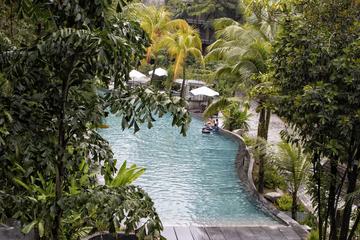 Siloso Beach Resort Pet Policy Siloso Beach Resort Pet Policy