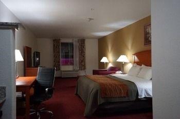Comfort Inn Suites Chesapeake Pet Policy