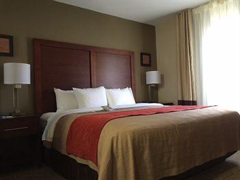 Comfort Inn Clemson Pet Policy