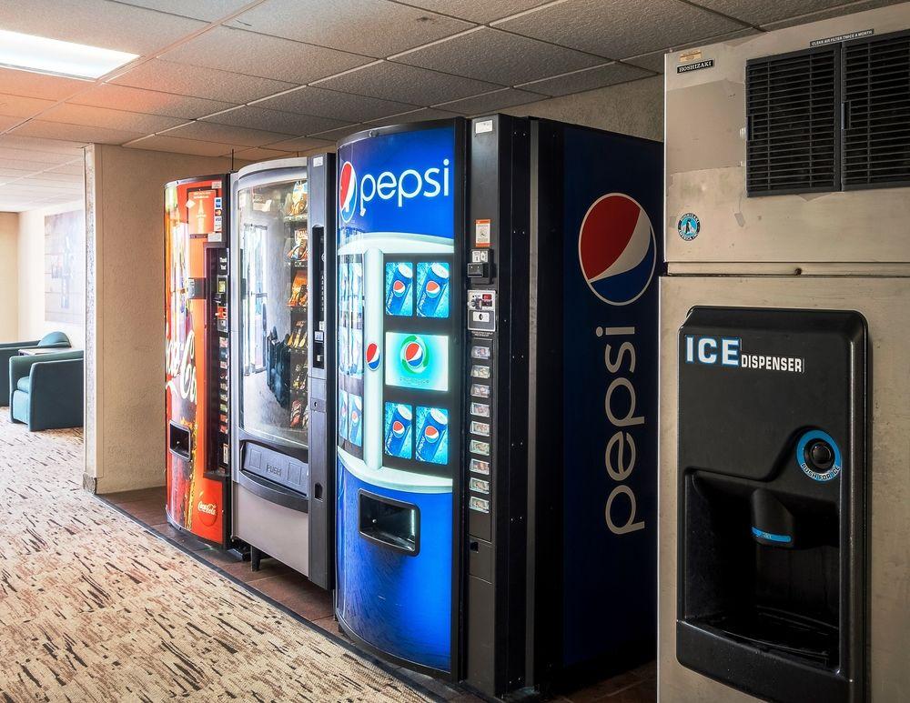 Pet Friendly Hotels In Brunswick Ga Bringfido