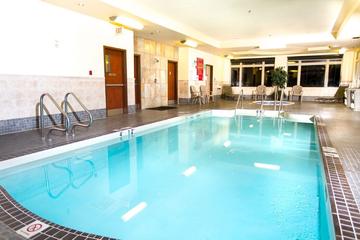 Holiday Inn Hotel Suites West Edmonton Pet Policy Holiday Inn Hotel Suites West Edmonton Pet Policy