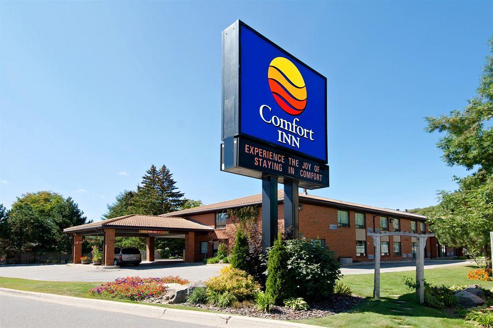 Comfort Inn Huntsville Pet Policy
