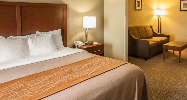 Quality Inn Suites Georgetown Pet Policy