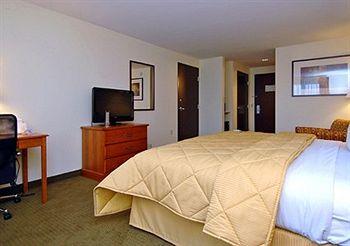 Pet Friendly Hotels In Williamsport Pa Bringfido