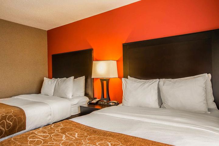 Pet Friendly Comfort Suites at WestGate Mall