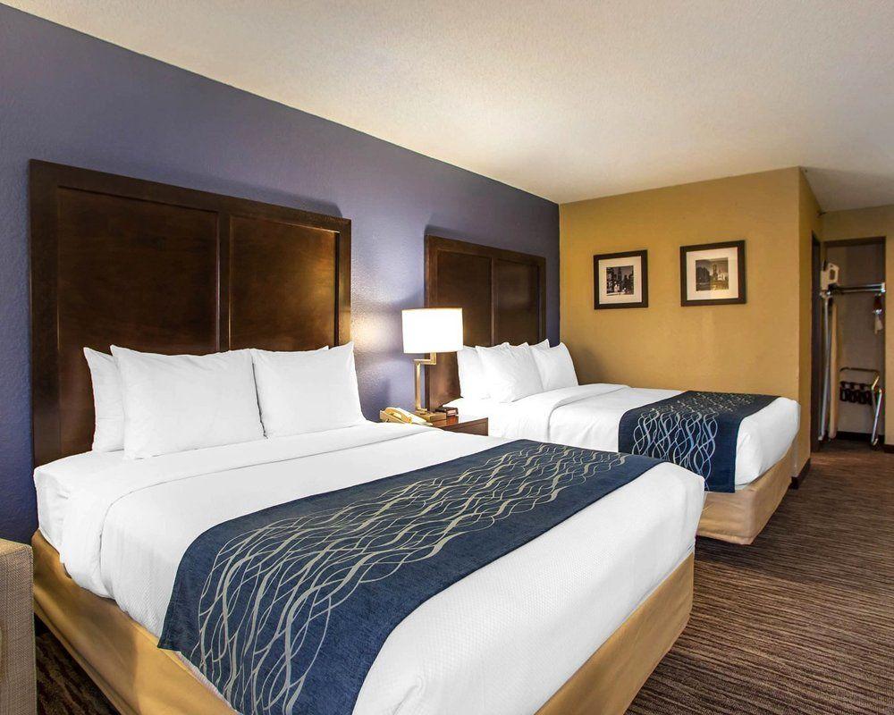 Comfort Inn Arlington Heights Chicago Pet Policy