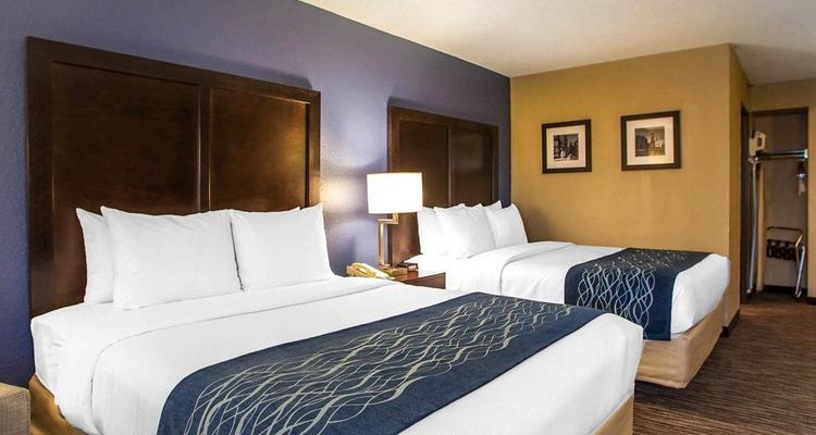 Comfort Inn Arlington Heights Chicago Pet Policy