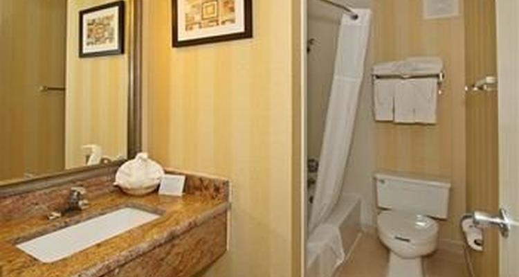 Comfort Inn Maingate Pet Policy