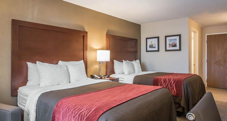 Comfort Inn Airport South Portland Pet Policy