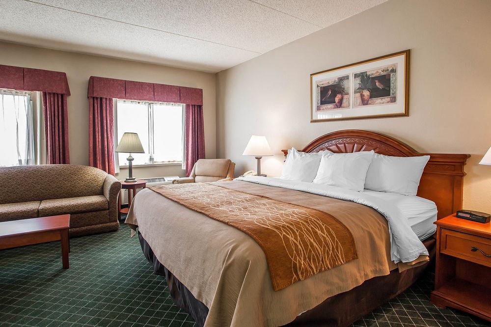 Comfort Inn Festus Pet Policy