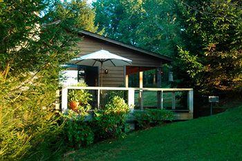 Fire Mountain Inn Cabins Treehouses Pet Policy