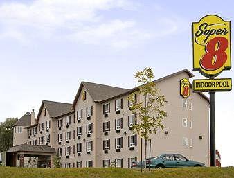 Pet Friendly Hotels In St Johns Nl - Bringfido