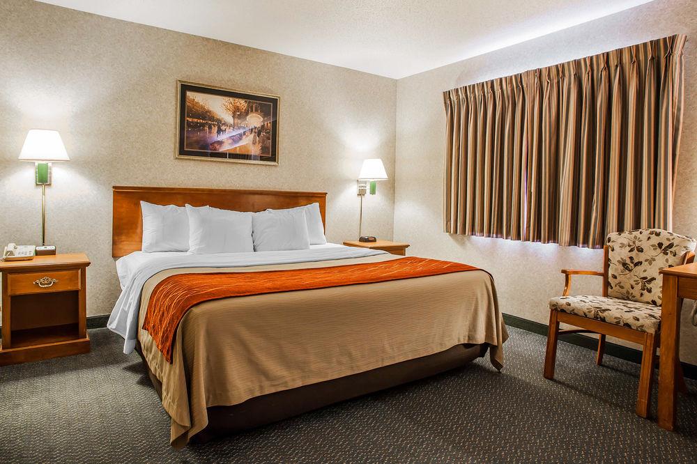 Comfort Inn Dyersville Pet Policy