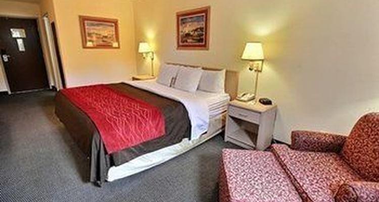 Quality Inn Solomons Beacon Marina Pet Policy