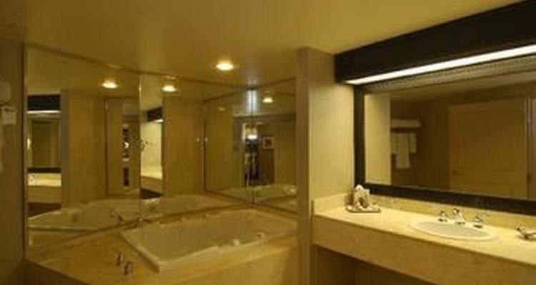 Treasure Island Hotel And Casino Pet Policy