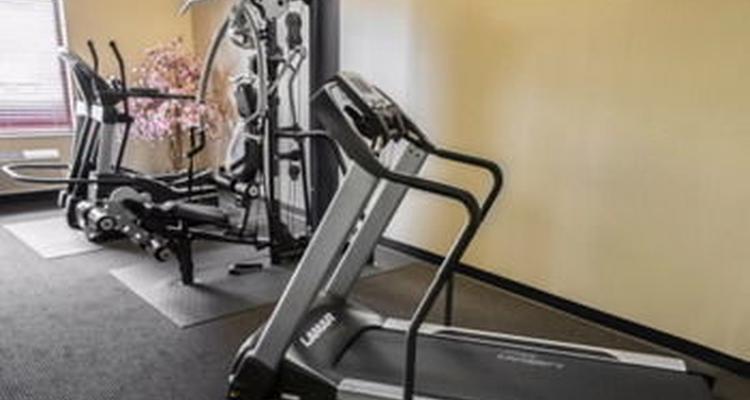 Comfort Inn Crystal Lake Pet Policy