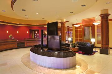 Springhill Suites Norfolk Virginia Beach Pet Policy Springhill Suites Norfolk Virginia Beach Pet Policy