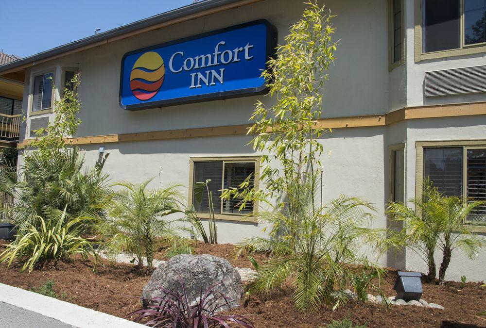 Comfort Inn Santa Cruz Pet Policy