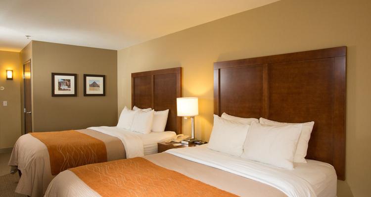 Comfort Inn And Suites Spokane Valley Pet Policy